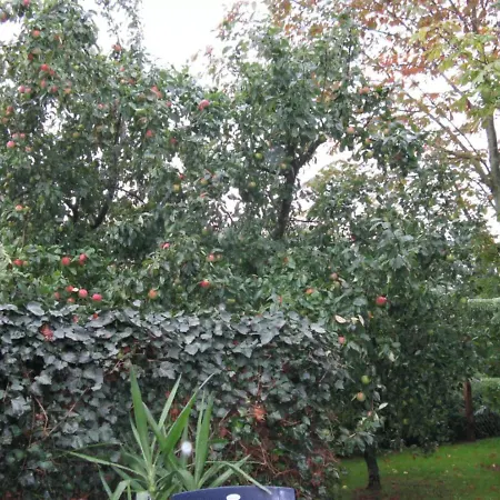 בית נופש Ferienhaus Ockholm Ockholm